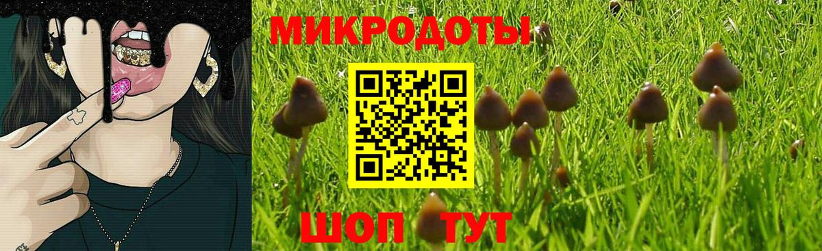 Галлюциногенные грибы Psilocybe Полевской