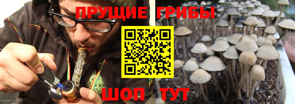 даркнет сайт  Псилоцибиновые грибы Psilocybine cubensis  Вход с VPN  Полевской 