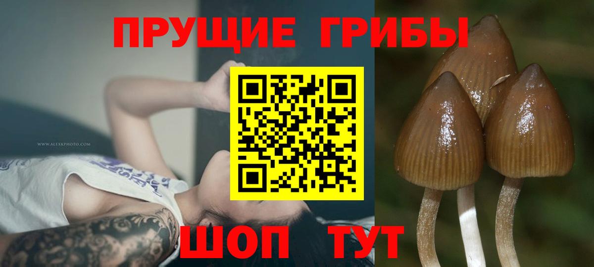 КОКАИН Полевской